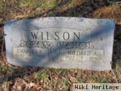 Charles R Wilson