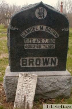 Samuel M Brown