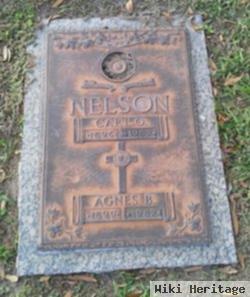 Agnes B Nelson