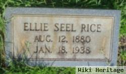 Eleanor Lucy Seel Rice