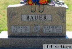 Vernon Earl "vern" Bauer