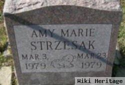 Amy Marie Strzesak