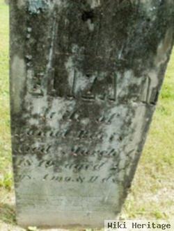 Elizabeth Anne Dougherty Bevis