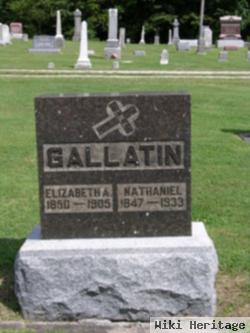 Elizabeth A. Welsh Gallatin