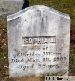 Sophia A Wilson