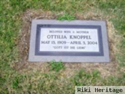 Ortilla Knoppel