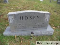 Lois Peters Hosey