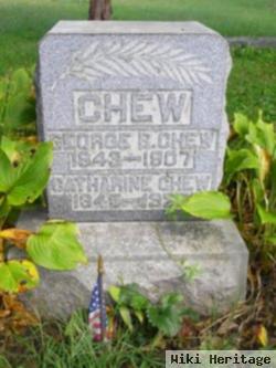 Catherine Mathew Chew