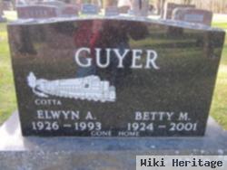 Elwyn A. Guyer