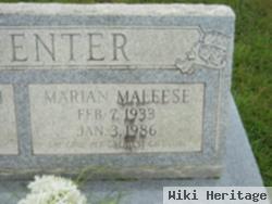 Marian Maleese Strange Carpenter