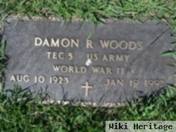 Damon R. Woods