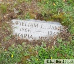 William Lewis James