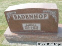 Amelia Haase Badenhop