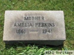 Amelia Fidoe Perkins