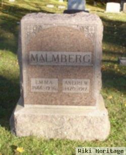 Andrew W Malmberg