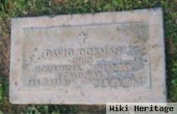 David S. Dorman