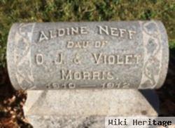 Aldine Neff Morris