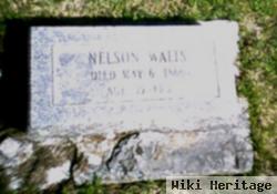 Nelson Walts