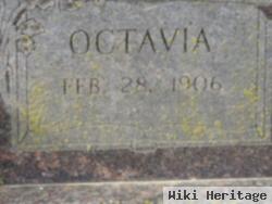 Octavia Honaker Mccurley