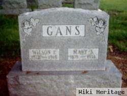 Wilson P Gans