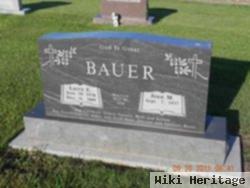 Larry E Bauer