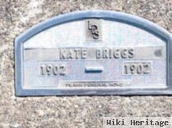 Kate Briggs