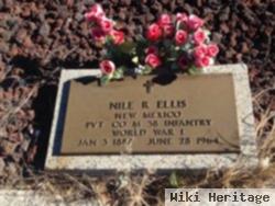 Nile R Ellis