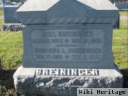 Joel Breininger