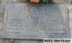 Charles Leroy Heaney