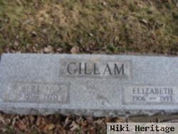 Elizabeth E. Burns Gillam