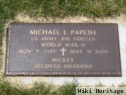 Michael L. Papesh