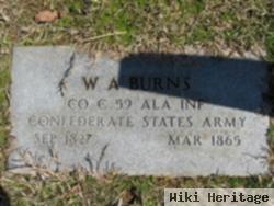 William Asbury Burns