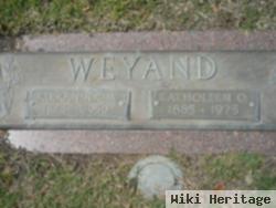 Alexander M Weyand