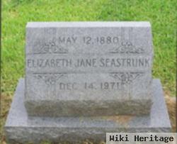 Elizabeth Jane Bland Seastrunk