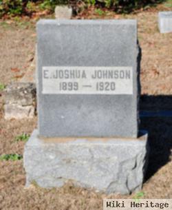 Elwin Joshua Johnson