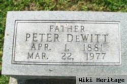 Peter Dewitt