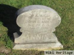 Sarah Ann Henderson Annin