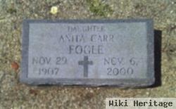 Anita Carr Fogle