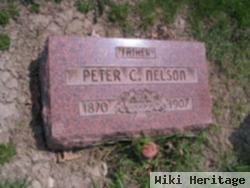 Peter C Nelson