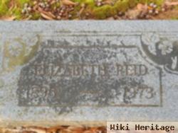 Selma Elizabeth "lizzie" Reid