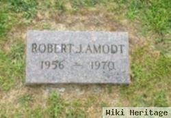 Robert Jay Amodt