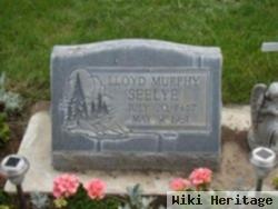 Lloyd Murphy Seelye