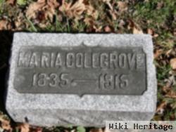 Maria Colegrove