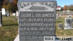 Jacob L. Holsinger