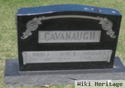 Nikki J. Cavanaugh