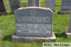 Harry Rosenstein