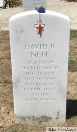 David B Neff
