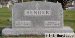 Peter A Senger