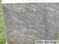 Tanah S Boyer Hale