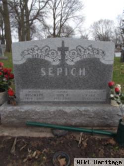 John Frank Sepich